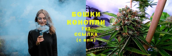 прущие грибы Бородино