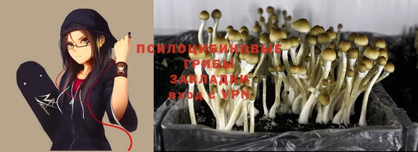 крисы Краснотурьинск