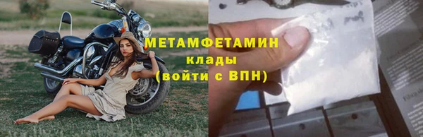 прущие грибы Бородино