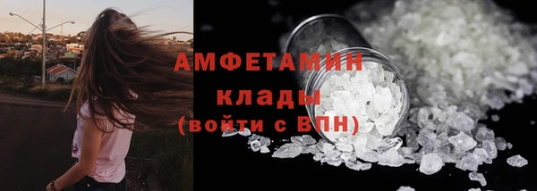 прущие грибы Бородино