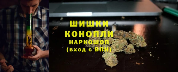 трава Туринск