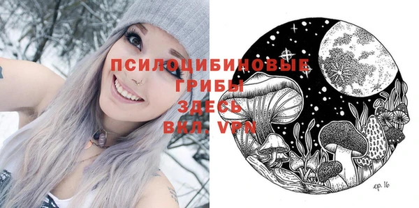2c-b Липки