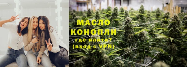 прущие грибы Бородино