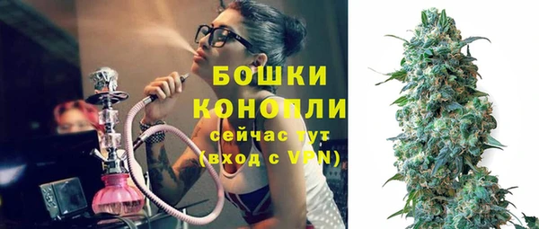 прущие грибы Бородино