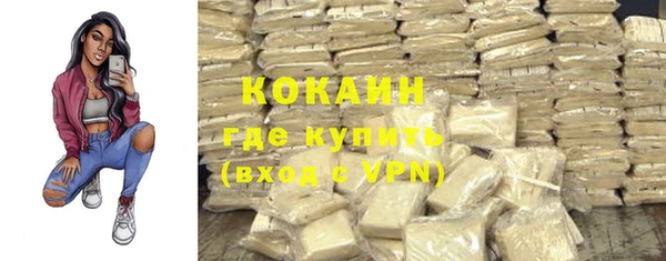 прущие грибы Бородино