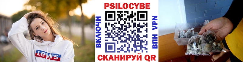 Псилоцибиновые грибы прущие грибы  сколько стоит  Касли 